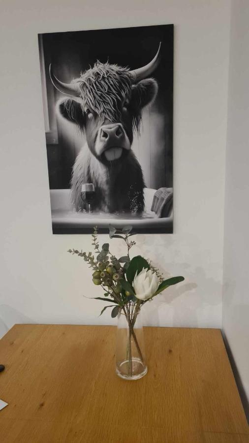 Elegant Cbd Apartment Christchurch Extérieur photo